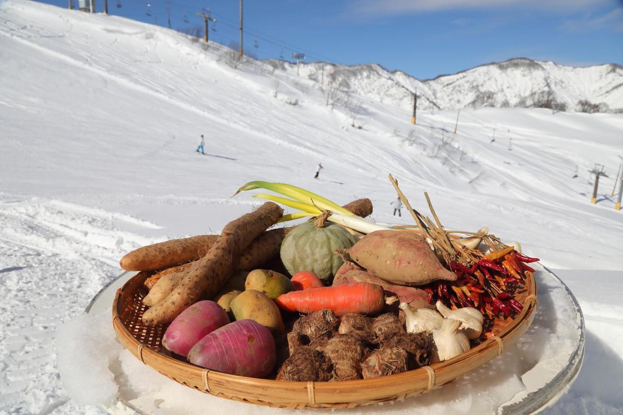 Ishiuchi Ski Center Minamiuonuma Bagian luar foto